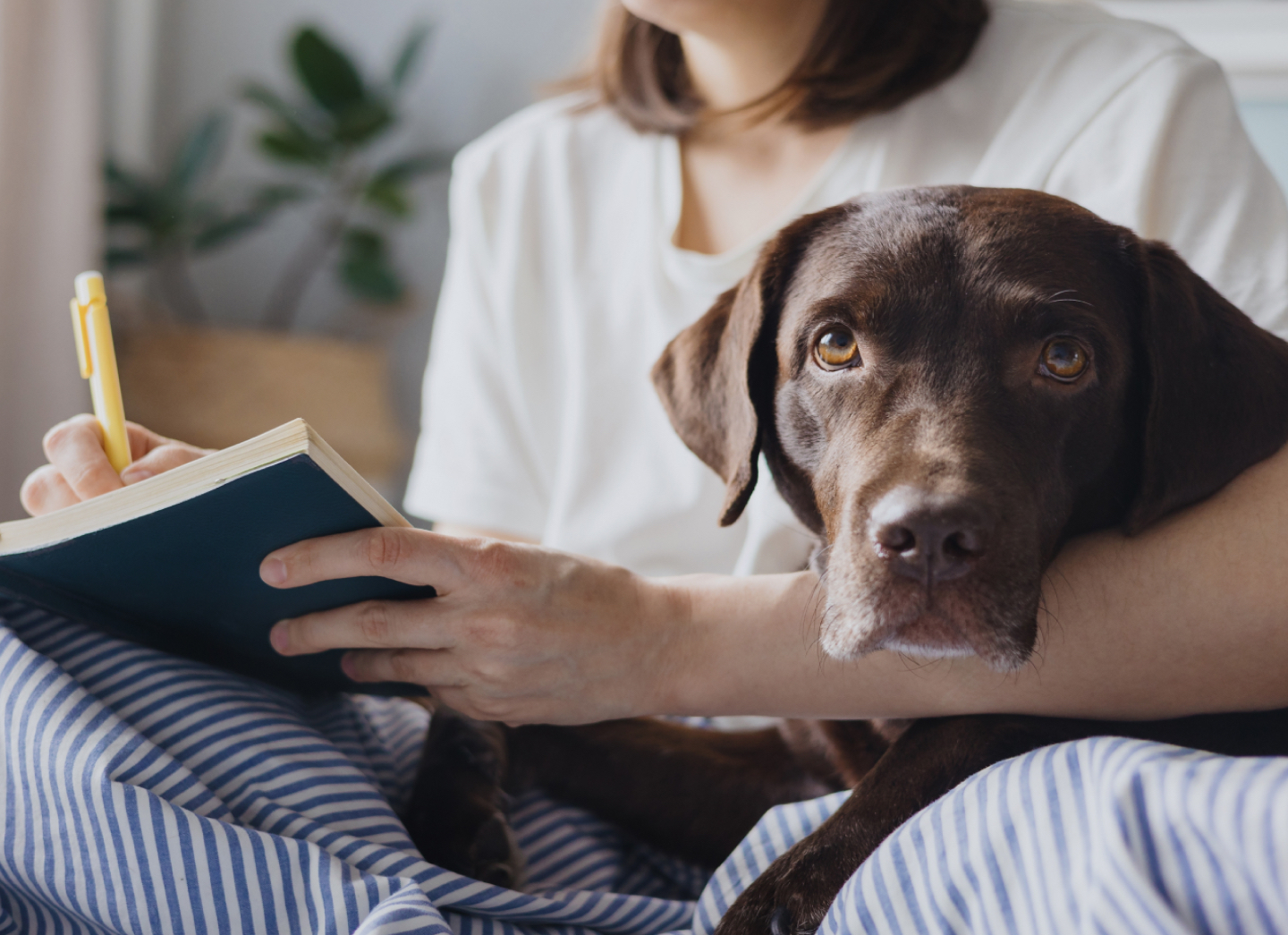 Innovation Background